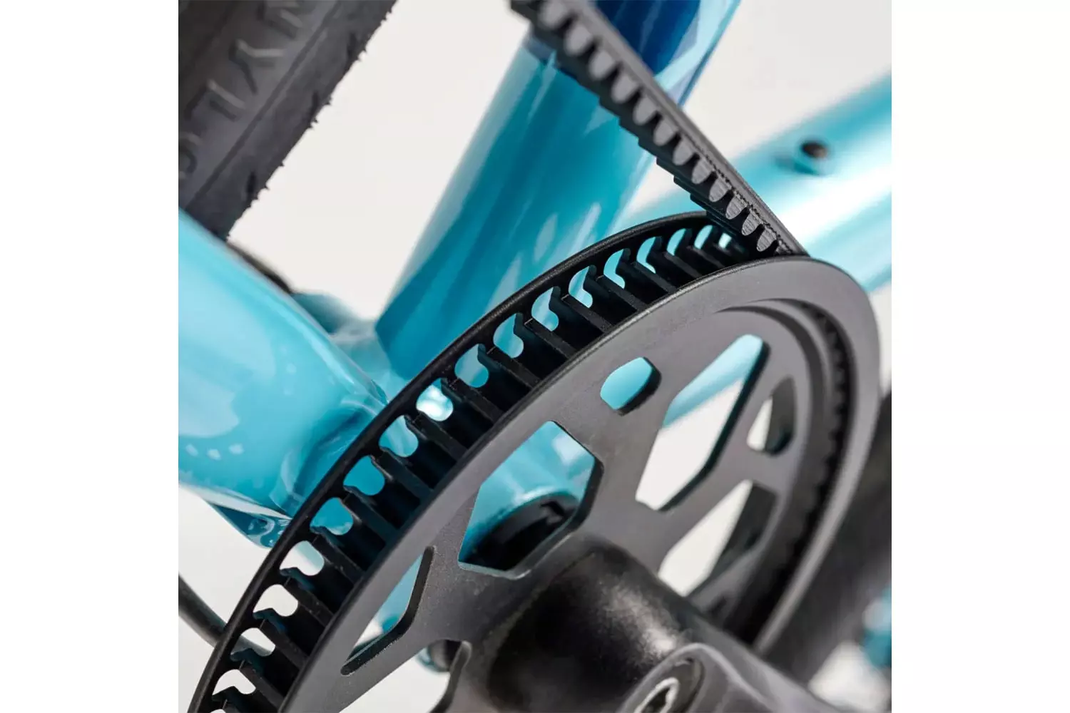 Academy Grade 2 Belt 2023 5 Academy Grade 2 Belt 2023 – Bild 3