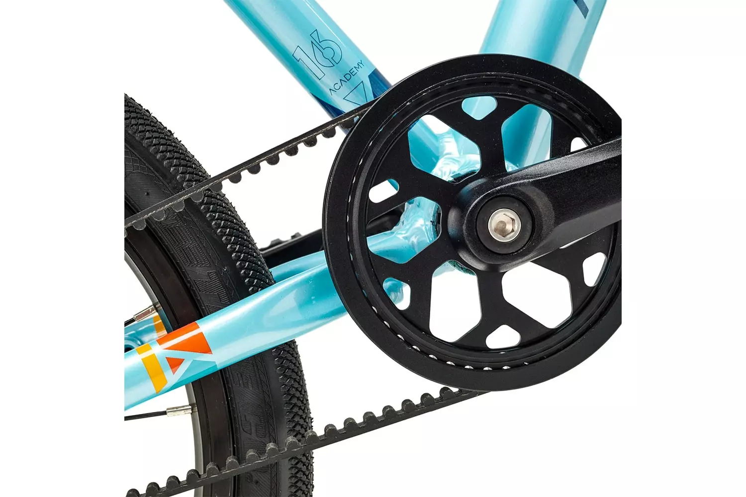 Academy Grade 3 Belt 2023 4 Academy Grade 3 Belt 2023 – Bild 2