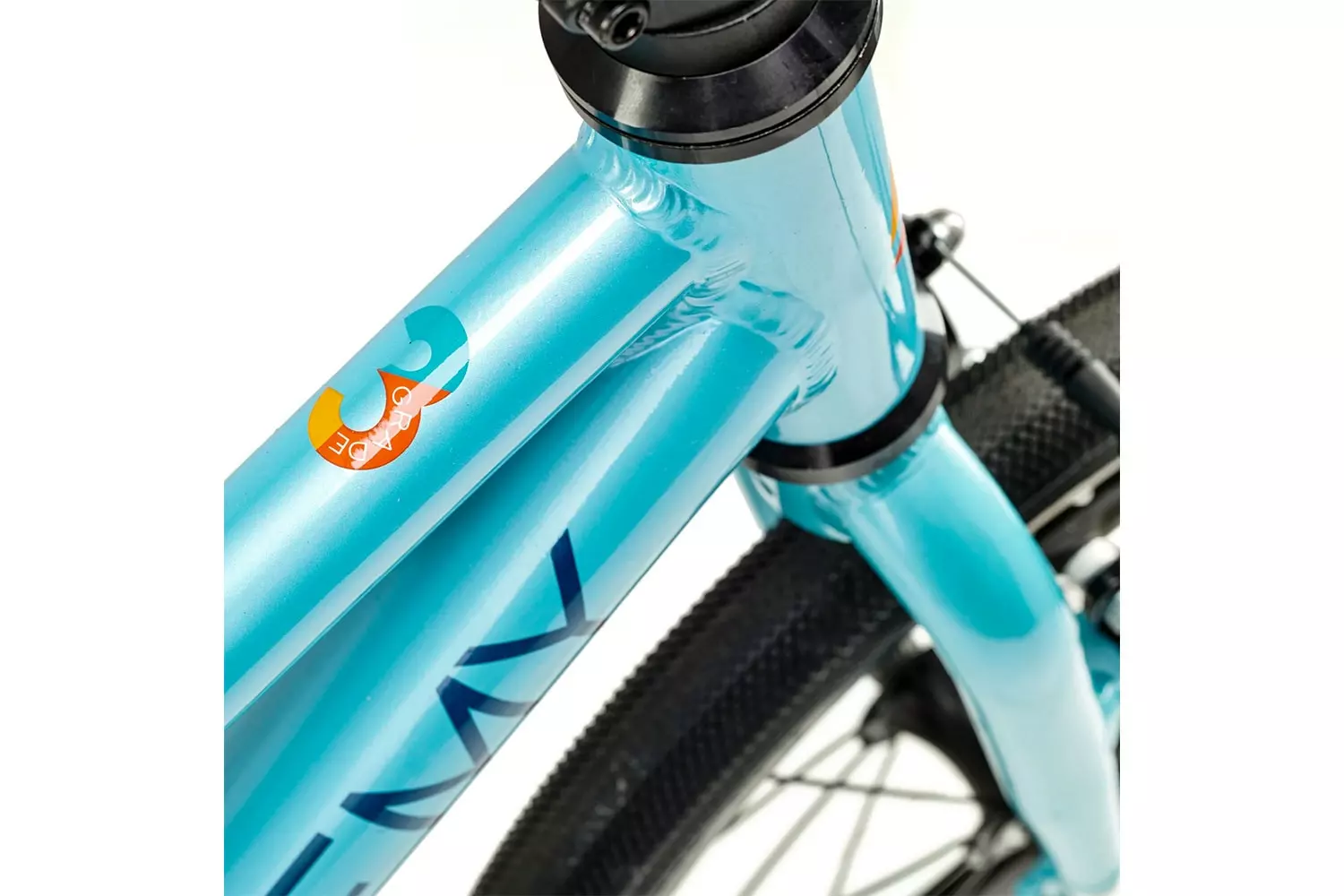 Academy Grade 3 Belt 2023 6 Academy Grade 3 Belt 2023 – Bild 4