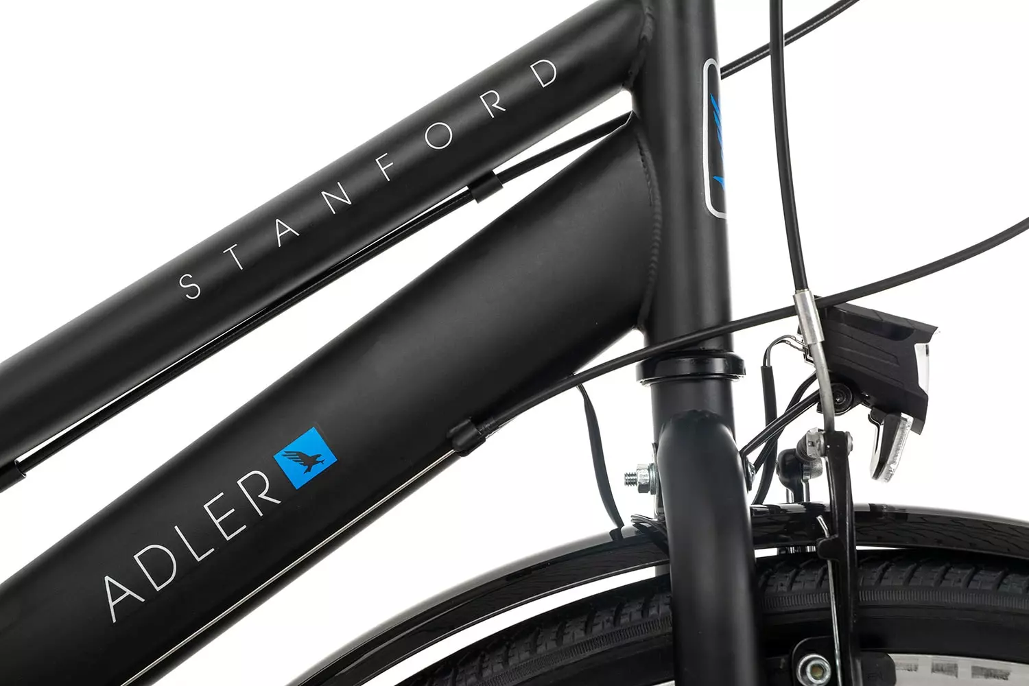 Adler Stanford Trapez 8 Adler Stanford Trapez – Bild 6