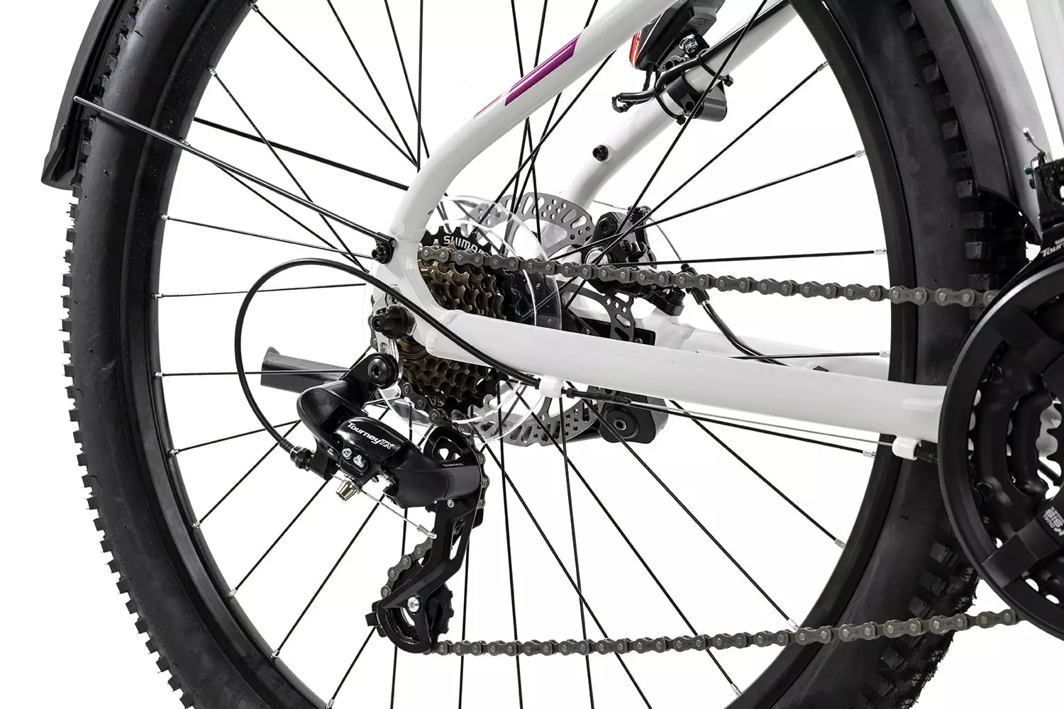 Axess MEEA 4 Axess MEEA – Bild 2