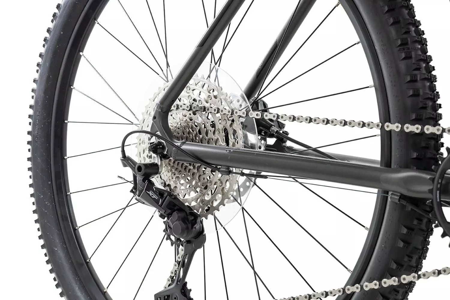 Axess SNIPE 2022 3 Axess SNIPE 2022 – Bild 2