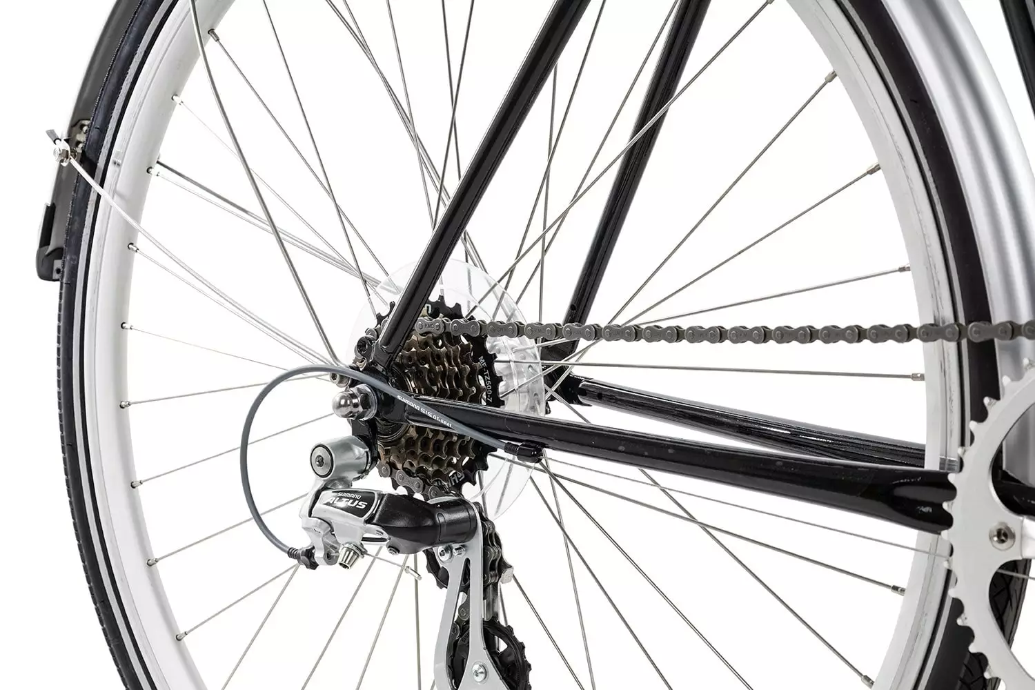 Commodo Cyclisti Torino Fender 2023 4 Commodo Cyclisti Torino Fender 2023 – Bild 2