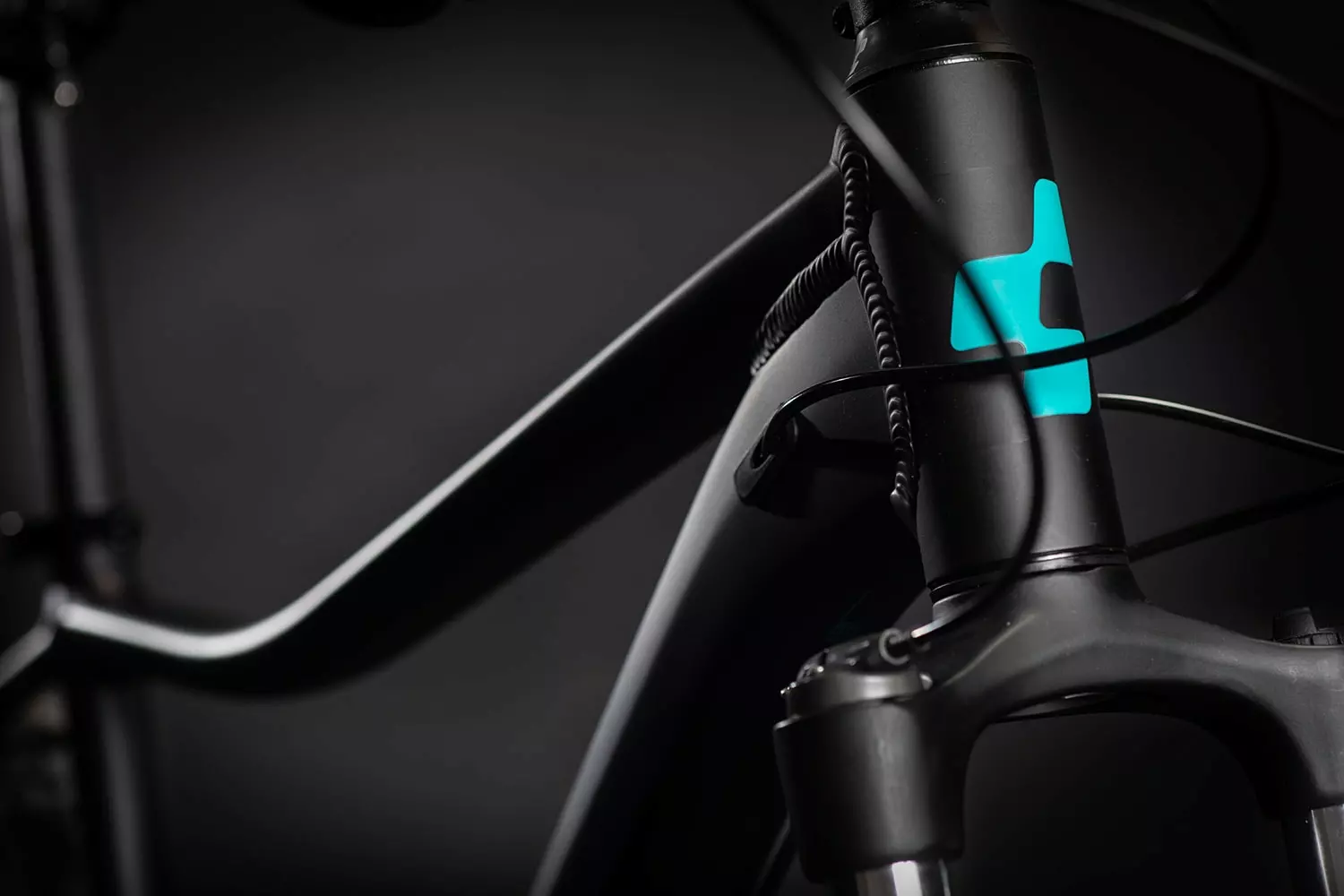 Cube Access WS EXC | 19 Zoll | Black´n´blue | 29 Zoll 4 Cube Access WS EXC | 19 Zoll | Black´n´blue | 29 Zoll – Bild 2