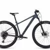 Cube Acid 2023 2 Cube Acid 2023 -Mountainbike Verkaufsladen cube acid 29 grey n pearlgrey 88571 01