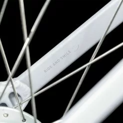 Cube Ella Cruise 2023 12 Cube Ella Cruise 2023 -Mountainbike Verkaufsladen cube ella cruise metallicstone n grey 88656 05