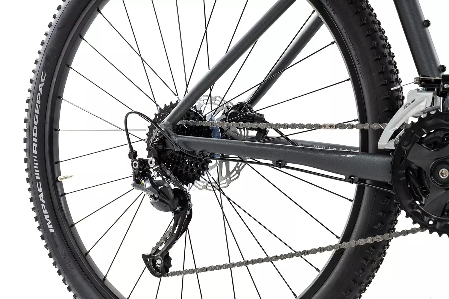 Focus Whistler 3.6 2023 4 Focus Whistler 3.6 2023 – Bild 2