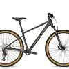 Focus Whistler 3.9 2023 2 Focus Whistler 3.9 2023 -Mountainbike Verkaufsladen focus whistler 3 9 diamond black 85252 01