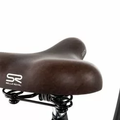 Gazelle Classic R3T Wave 2023 -Mountainbike Verkaufsladen gazelle classic r3t wave black 77989 06