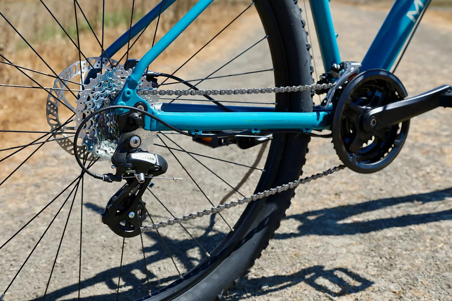 Marin Bolinas Ridge 2 2023 7 Marin Bolinas Ridge 2 2023 – Bild 5