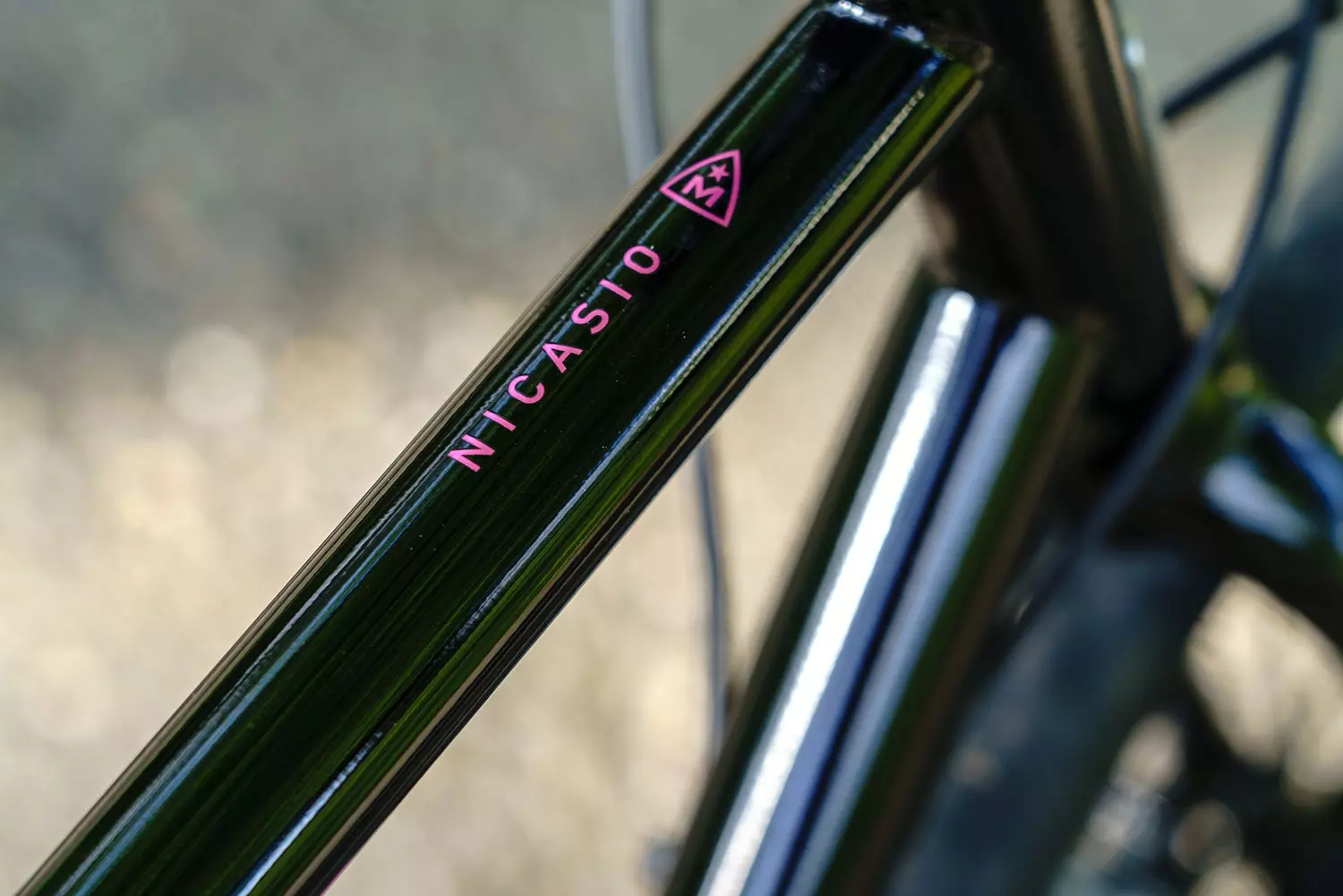 Marin Nicasio 2023 8 Marin Nicasio 2023 – Bild 6