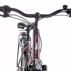 Raleigh CHESTER 7 R Wave 2022 -Mountainbike Verkaufsladen raleigh chester 7 r wave cassis 87510 04