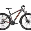 Raleigh DAYMAX 2022 | 48 Cm | Jetgrey Matt | 29 Zoll 2 Raleigh DAYMAX 2022 | 48 Cm | Jetgrey Matt | 29 Zoll -Mountainbike Verkaufsladen raleigh daymax jetgrey matt 84080 01