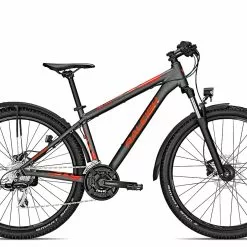 Raleigh DAYMAX 2022 | 48 Cm | Jetgrey Matt | 29 Zoll